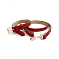 Soft Padded Collar & Lead Set - Red