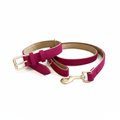 Soft Padded Collar & Lead Set - Rose