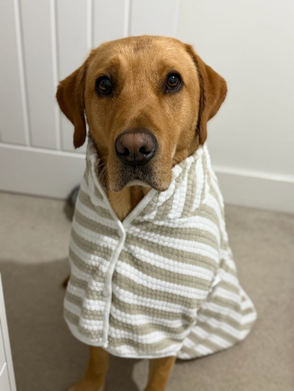 Quick Drying Robe (Cabana Stripe)