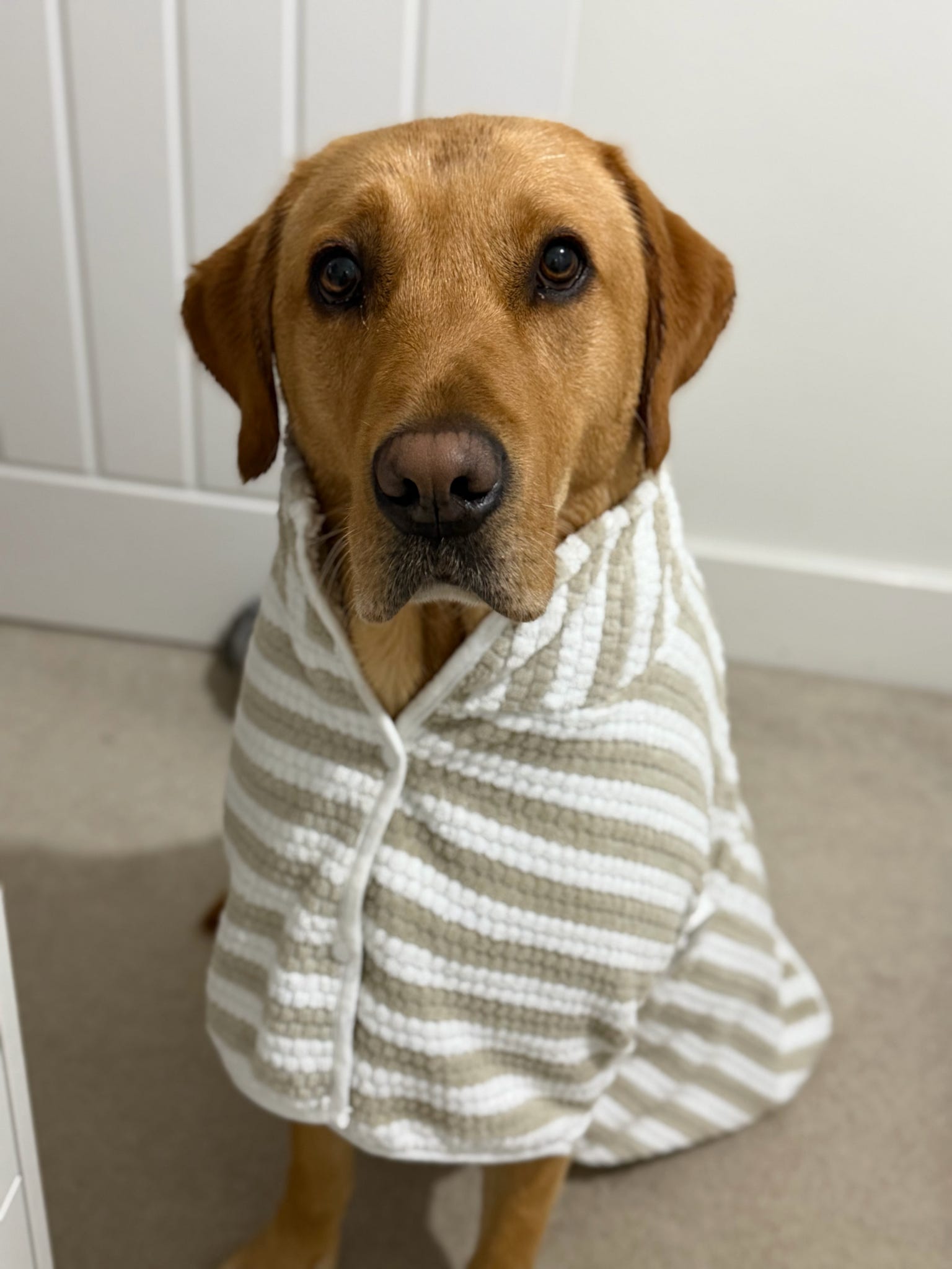 Quick Drying Robe (Cabana Stripe)