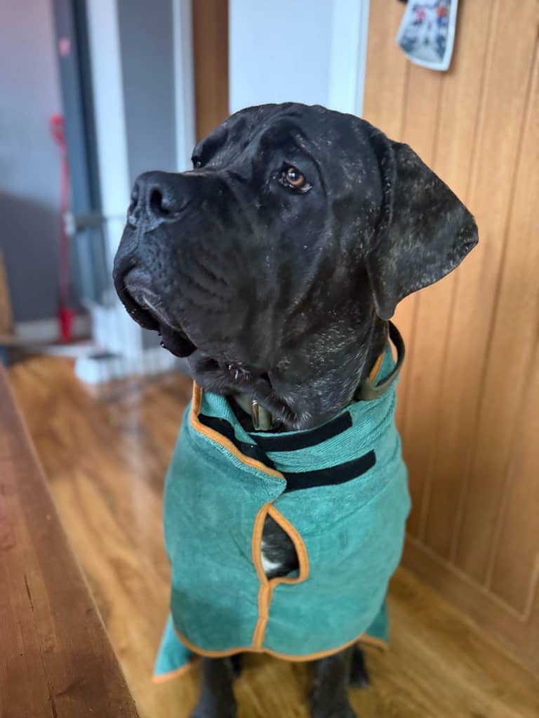 Quick Drying Robe (Classic Solid)