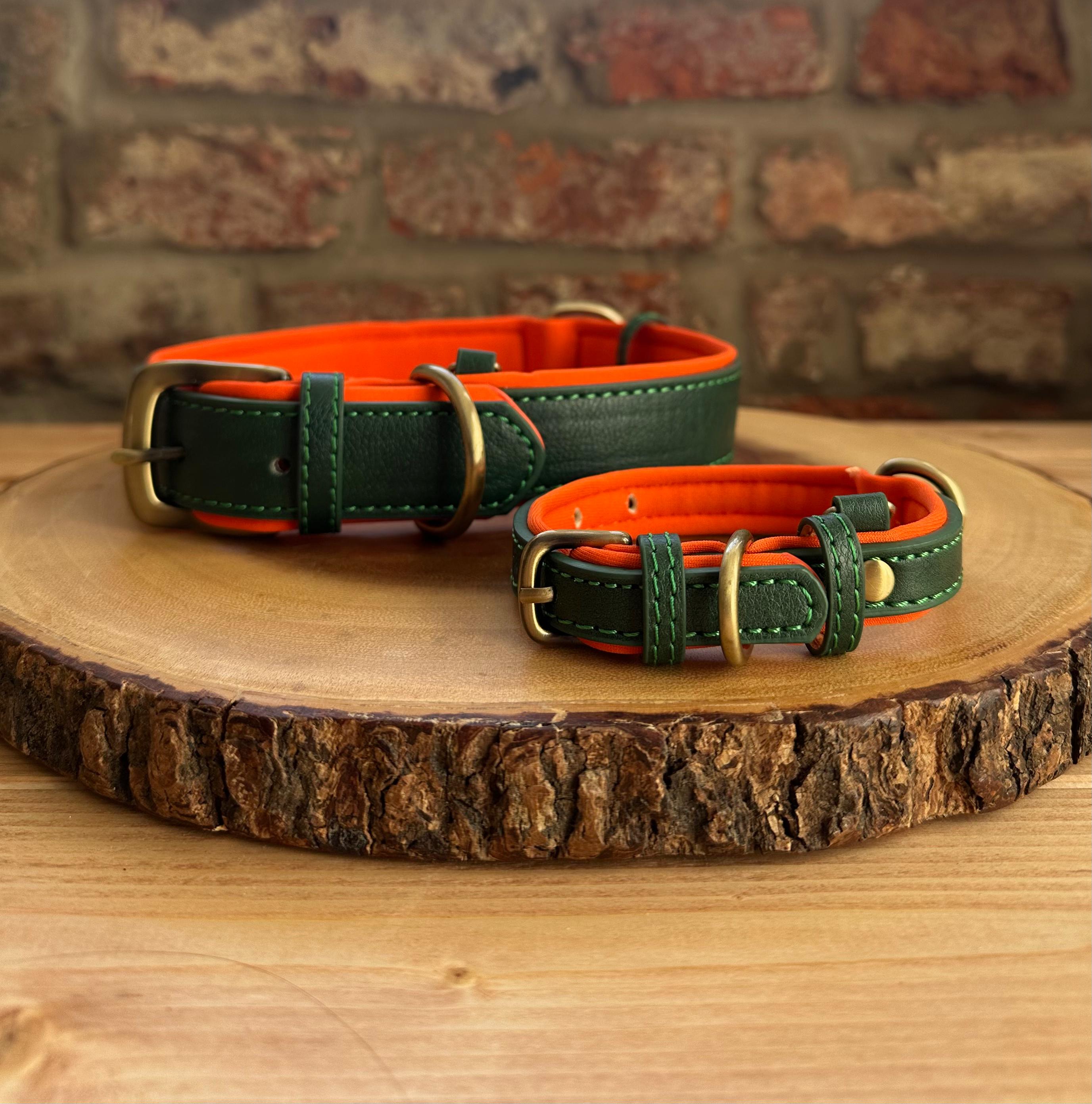 Signature Style Collar - Green/Orange